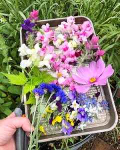 Sydney Edible Garden Trail - bee friendly flowers Willoughby driveway veggie patch