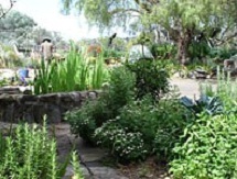 Sydney Edible Garden Trail - Coal Loader Cottage community garden