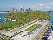 Sydney Edible Garden Trail - Coal Loader Cottage community garden