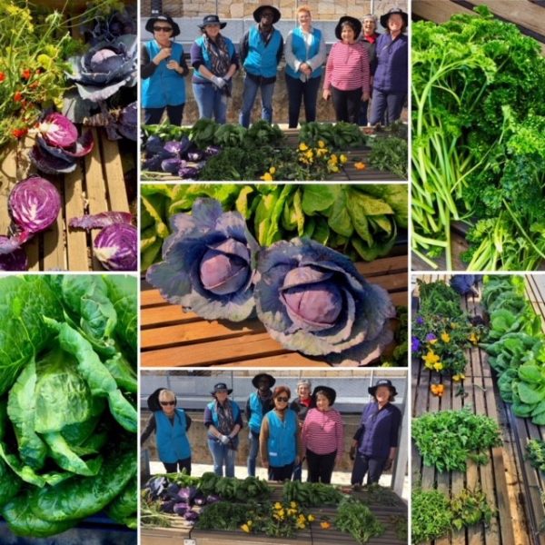 Sydney Edible Garden Trail - Coal Loader Platform community gardens