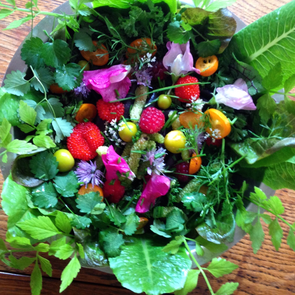 Sydney Edible Garden Trail - a bowl of edibles