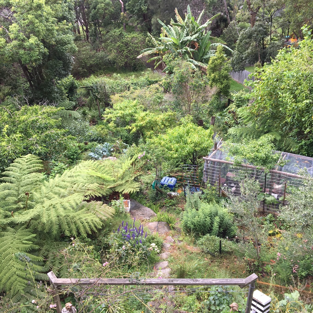 Sydney Edible Garden Trail - Northern Beaches edible garden