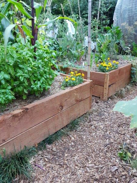 wicking beds by Waterups