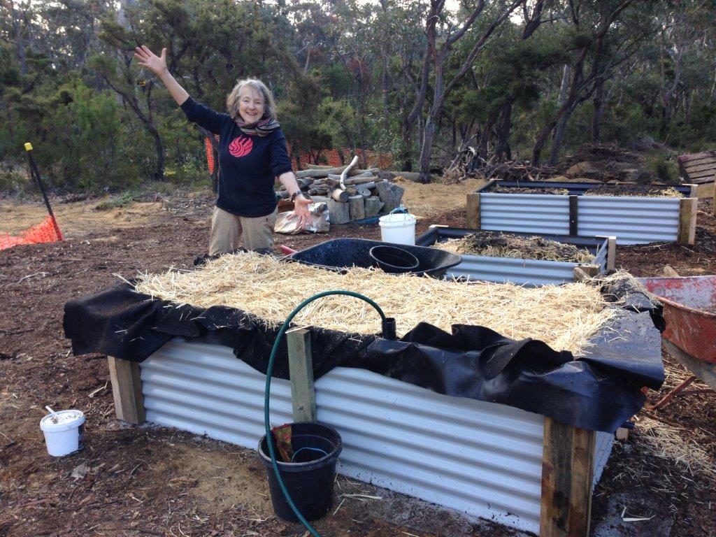 home made wicking bed