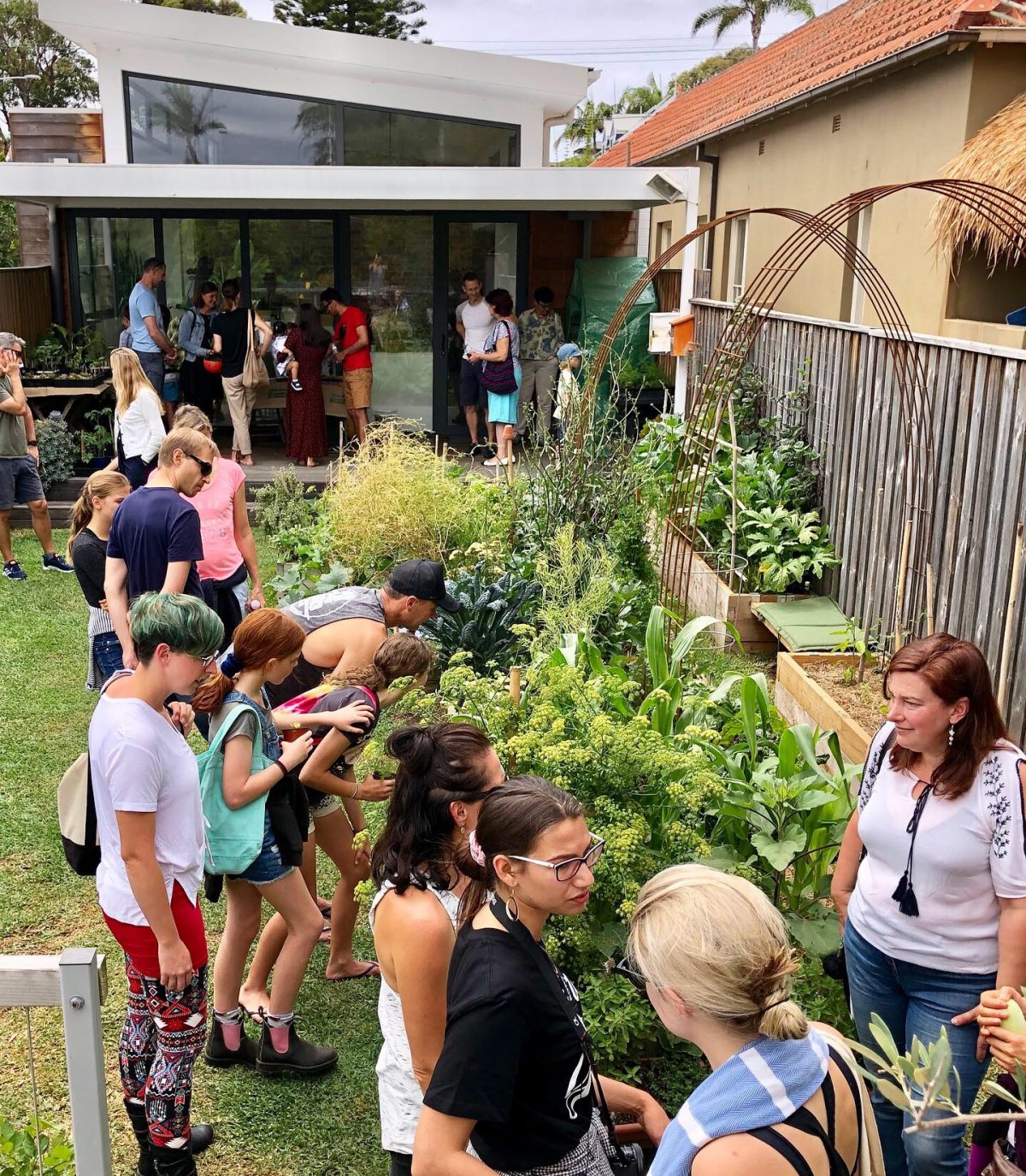 Sydney Edible Garden Trail - Northern Beaches edible garden