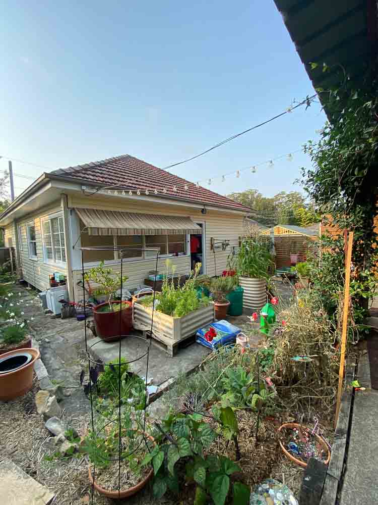 Sydney Edible Garden Trail - raised vegetable beds