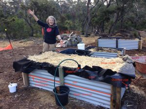 wicking beds