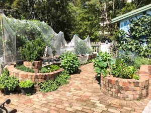 Sydney Edible Garden Trail - Garden Hub Community Garden