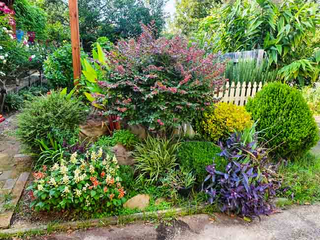 Sydney Edible Garden Trail