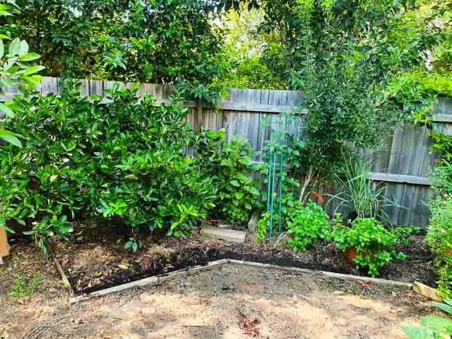 Sydney Edible Garden Trail
