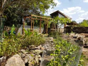Sydney Edible Garden Trail - Mount Colah garden