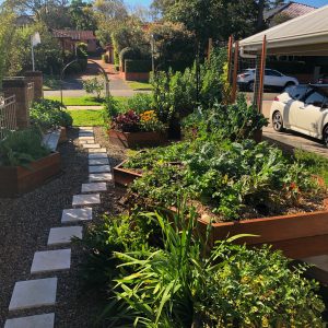 edible garden sydney lane cove